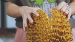 榴蓮剝好肉后，搗成泥狀。