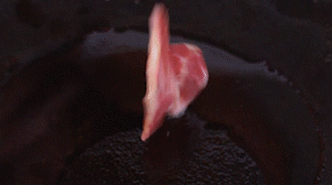 鍋中倒入橄欖油燒熱，放入淡火腿小火煸炒至打卷狀態(tài)。